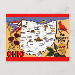 Ohio Buckeye Staat Postcard Postkarte