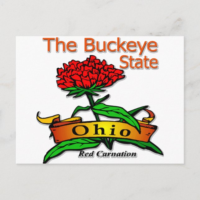 Ohio Buckeye Staat Red Carnation Postkarte (Vorderseite)