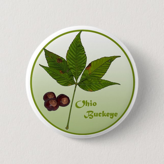Ohio Buckeye Tree Button (Vorderseite)