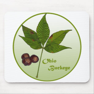 Ohio Buckeye Tree Mousepad