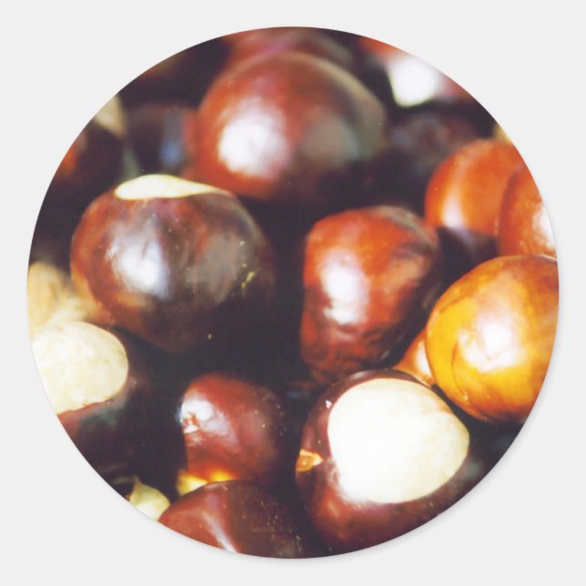 Ohio Buckeyes Runder Aufkleber (Vorderseite)