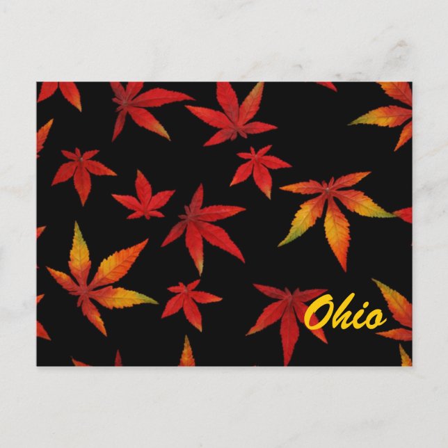 Ohio Herbstleaves Postkarte (Vorderseite)