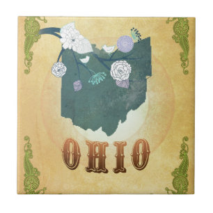 Ohio-Karte mit reizenden Vögeln Fliese