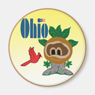 Ohio Magnet