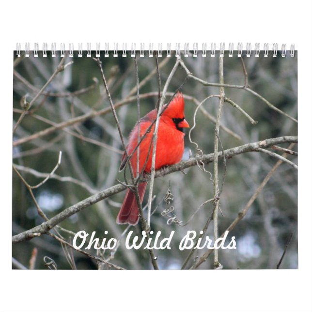 Ohio Wild Birds Kalender (Titelbild)