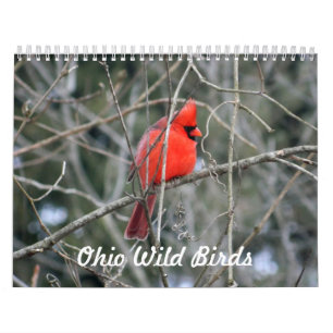 Ohio Wild Birds Kalender