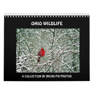 OHIO-WILD LEBENDE TIERE CALENDAR-A KALENDER