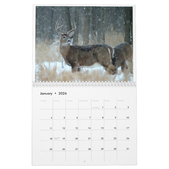 OHIO-WILD LEBENDE TIERE CALENDAR-A KALENDER (Jan 2026)