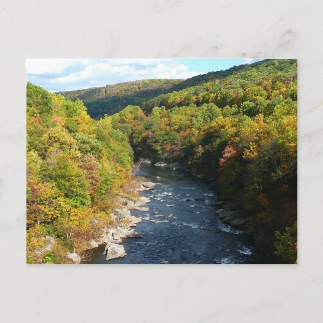 Ohiopyle Fluss im Herbst I Pennsylvania Herbst Postkarte (Vorderseite)