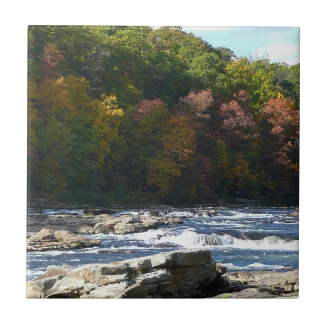 Ohiopyle River Rapids in Herbst Pennsylvania Herbs Fliese (Vorderseite)