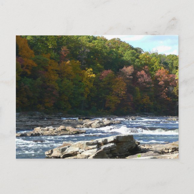 Ohiopyle River Rapids in Herbst Pennsylvania Herbs Postkarte (Vorderseite)