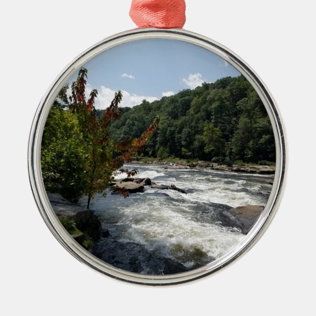 Ohiopyle Staats-Park Silbernes Ornament (Vorne)