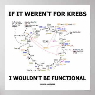 Ohne Krebs wäre ich nicht funktionell Poster