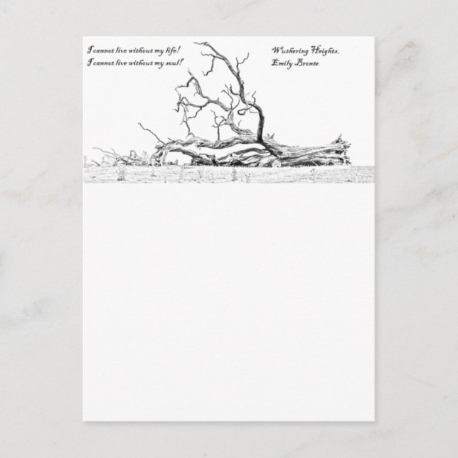 Ohne mein Soul kann ich nicht in Höhen leben Postkarte (Vorderseite)