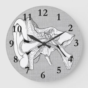 OHR-ANATOMIE-VINTAGE UHR