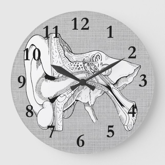 OHR-ANATOMIE-VINTAGE UHR (Vorderseite)