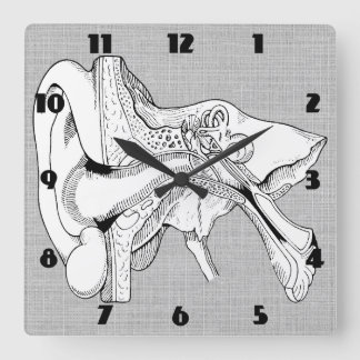 OHR-ANATOMIE-VINTAGE UHR