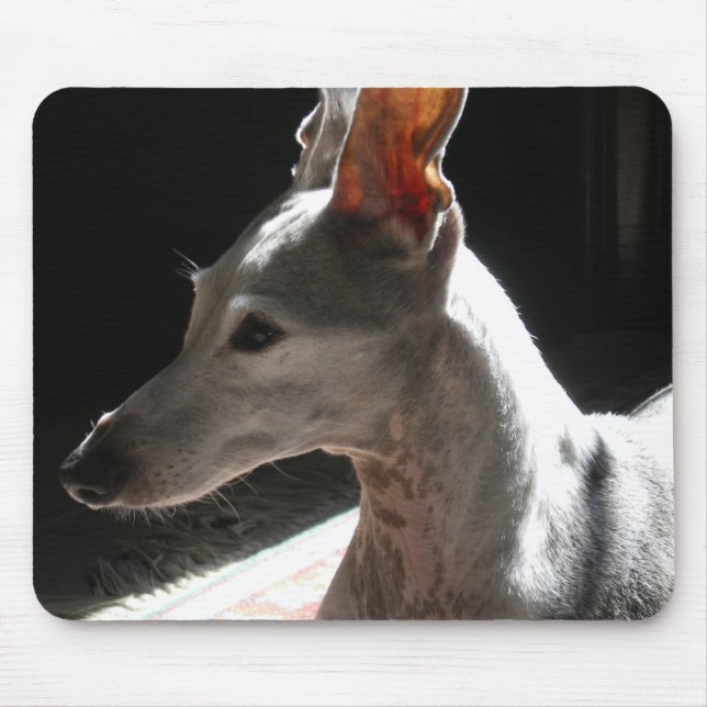 Ohren hoch, Foto! Mousepad (Vorne)