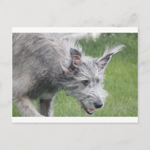 Ohren in Bewegung Postkarte