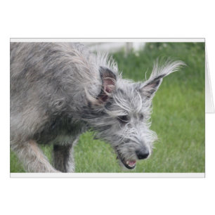 Ohren in der Bewegung