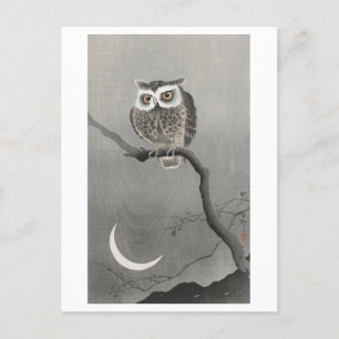 Ohreneule bei Nacht Vintage Postkarte