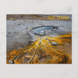 Ohrfrühlingspark Yellowstone Nationalpark Postkarte