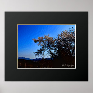 Ohuda-Hongo, Nara: Cherry Blossom ポ ス タ Poster