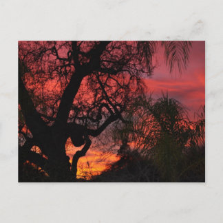 Ojai Sunset Postkarte