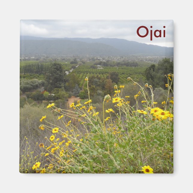 Ojai Valley, Kalifornien Magnet (Vorne)