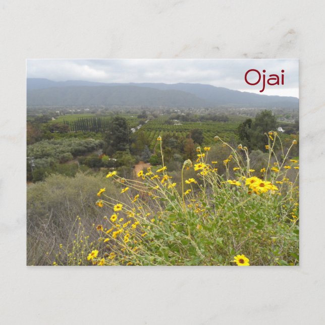 Ojai Valley, Kalifornien Postkarte (Vorderseite)