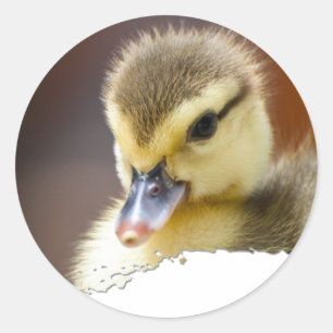 Ojatro Duckling 01 Runder Aufkleber