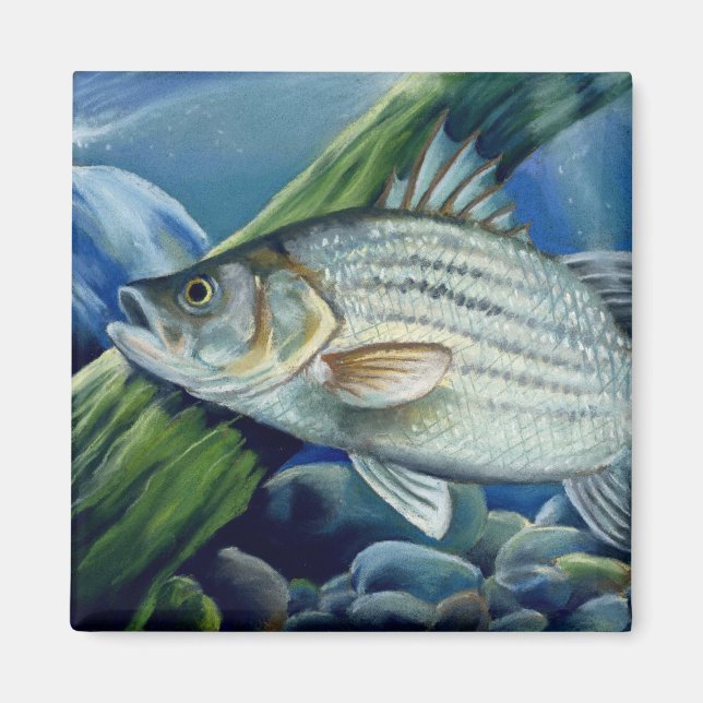 OK 2008 Bowles 1036 hoch Magnet (Vorne)