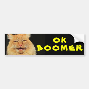OK BOOMER Funny Cat Meme Autoaufkleber