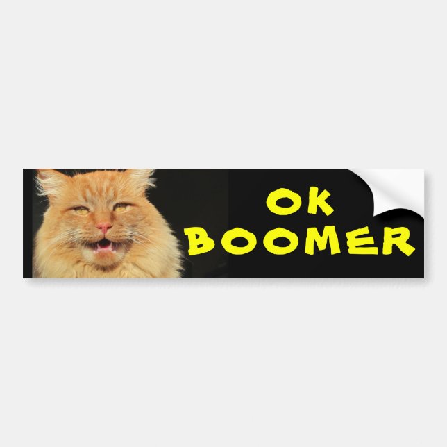 OK BOOMER Funny Cat Meme Autoaufkleber (Vorne)