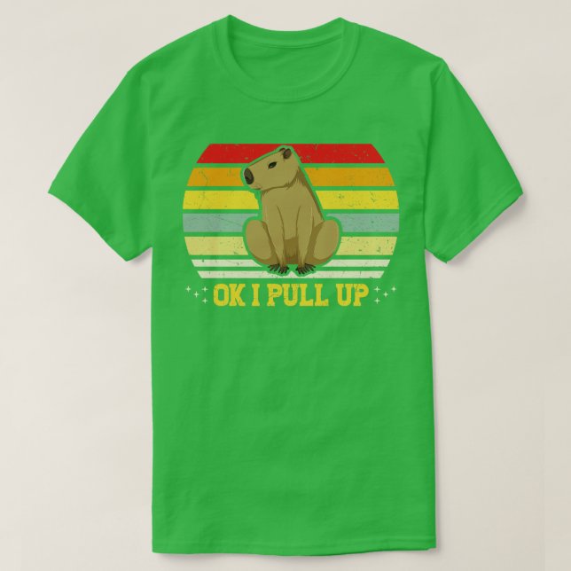 OK I holt Capybara Funny Rodent Capibara hoch T-Shirt (Design vorne)