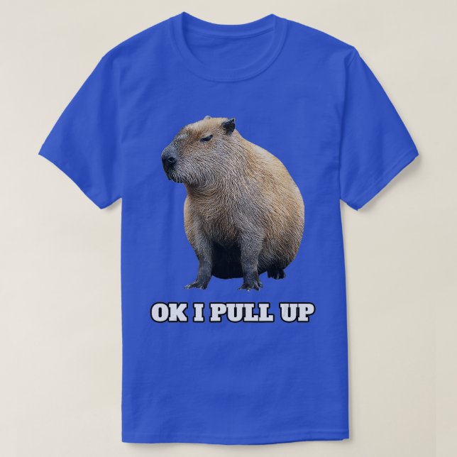 OK I zieht Capybara hoch (2) T-Shirt (Design vorne)