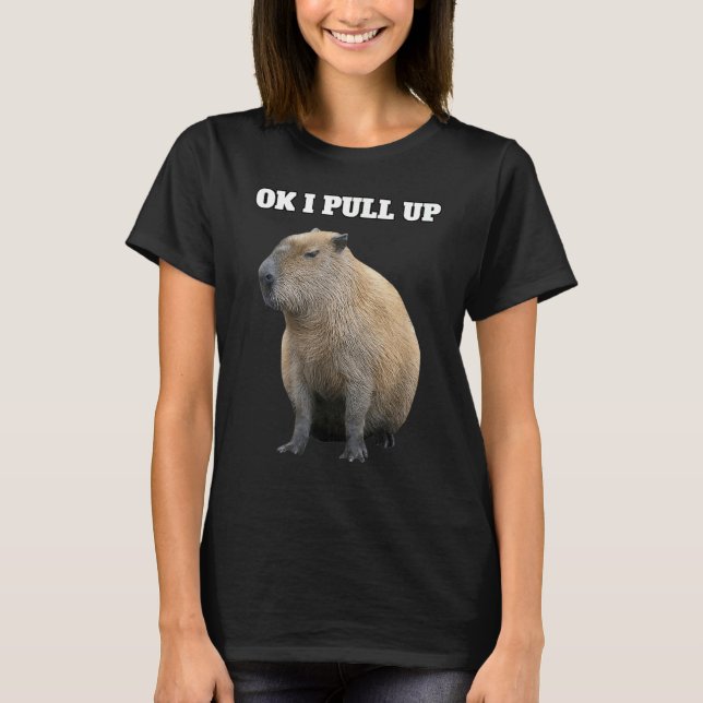 OK I zieht Capybara hoch T-Shirt (Vorderseite)