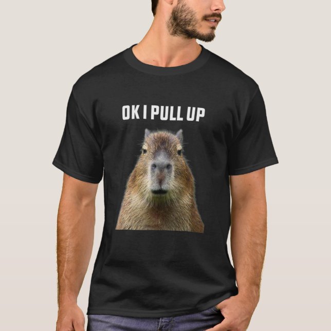 OK I zieht Capybara Süße Tier Niedlichen Haustiere T-Shirt (Vorderseite)