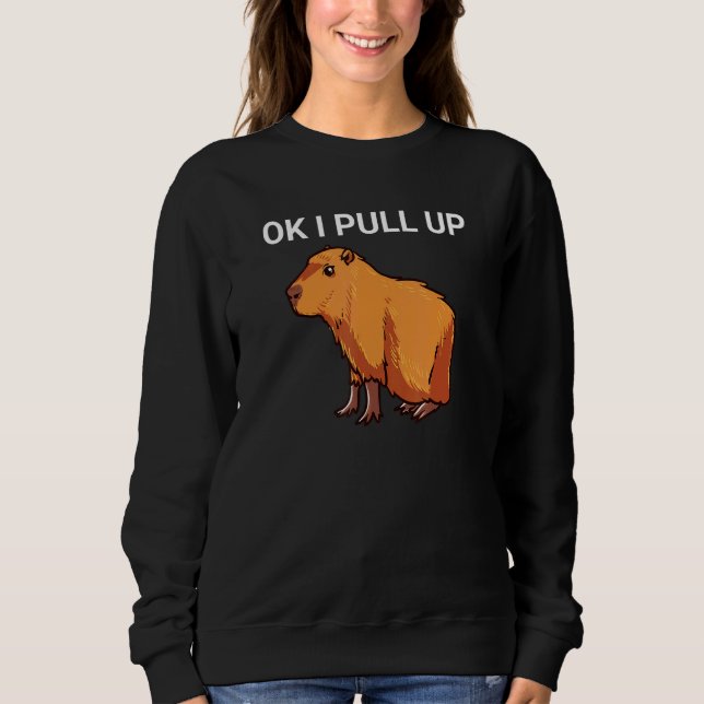 Ok, ich ziehe Capybara Dank Meme hoch Sweatshirt (Vorderseite)