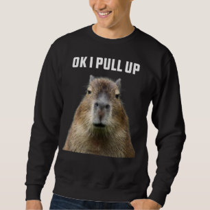 Ok, ich ziehe Capybara T - Shirt hoch