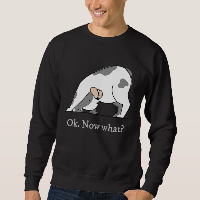 Ok Now What Yoga Downward Dog Workout Sweatshirt (Vorderseite)