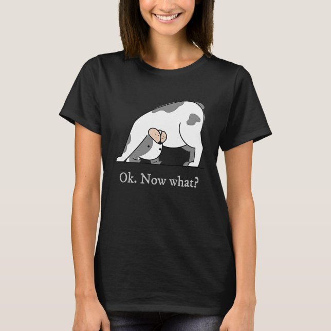 Ok Now What Yoga Downward Dog Workout T-Shirt (Vorderseite)
