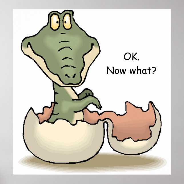 Ok. Was nun? Poster (Vorne)