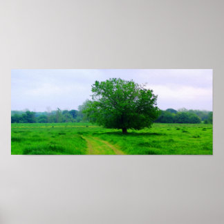 Oka’ Yanahli (Farbe gesättigt) Poster