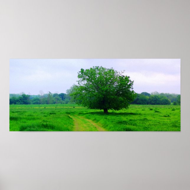 Oka’ Yanahli (Farbe gesättigt) Poster (Vorne)