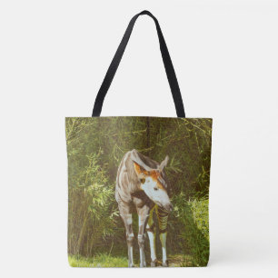 Okapi