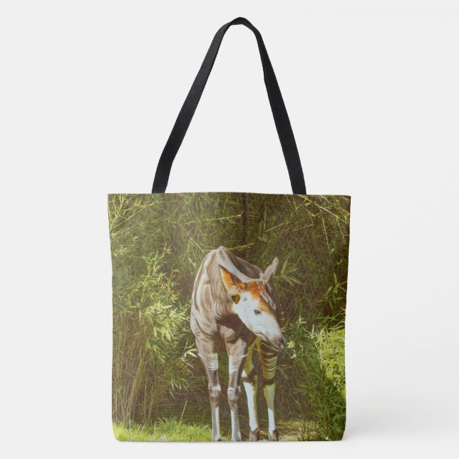 Okapi (Vorderseite)