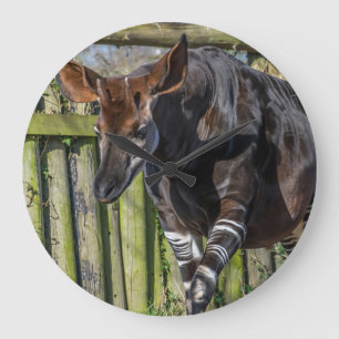 Okapi an der Zoo-Wanduhr Große Wanduhr