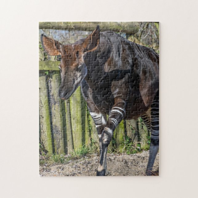 Okapi im Zoo-Puzzle Puzzle (Vertikal)