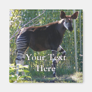 Okapi-Magnet Magnet